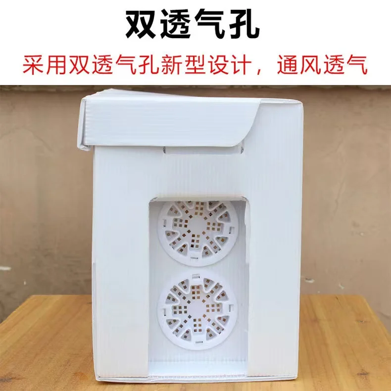 Queen Rearing Bee Hives PP Cardboard Nucleus Plastic Nuc Bee Box