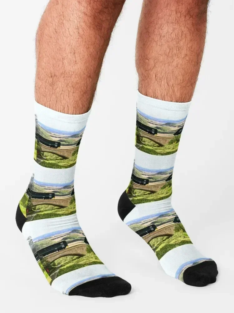 GWR CLASS 800 & CLASS 158 LOCOMOTIVES Socks colored Crossfit hiphop crazy Socks Ladies Men's