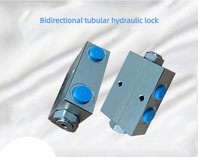 Two-way Pipe Hydraulic Lock Lifting Machinery Excavator Garbage Truck Sanitation Truck Cylinder Hydraulic Lock