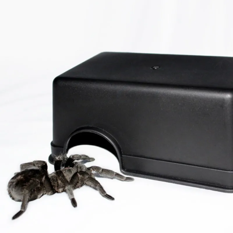 Small Black Crawling Pet Reptile To Avoid Guard Palace Toy Snake Eye Lizard Cave Spider Scorpion Special Hole Pet Products