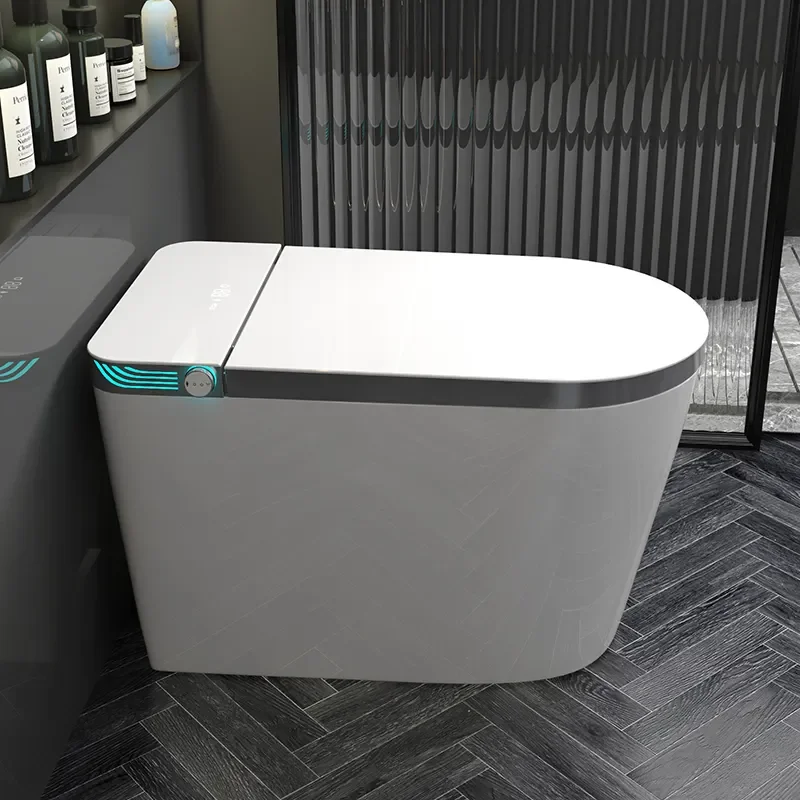 Ceramic Supplier One Piece Smart Toilet, Electronic Bidet WC with Intelligent Seat, Premium Sanitary Ware for Home Bathroom Use