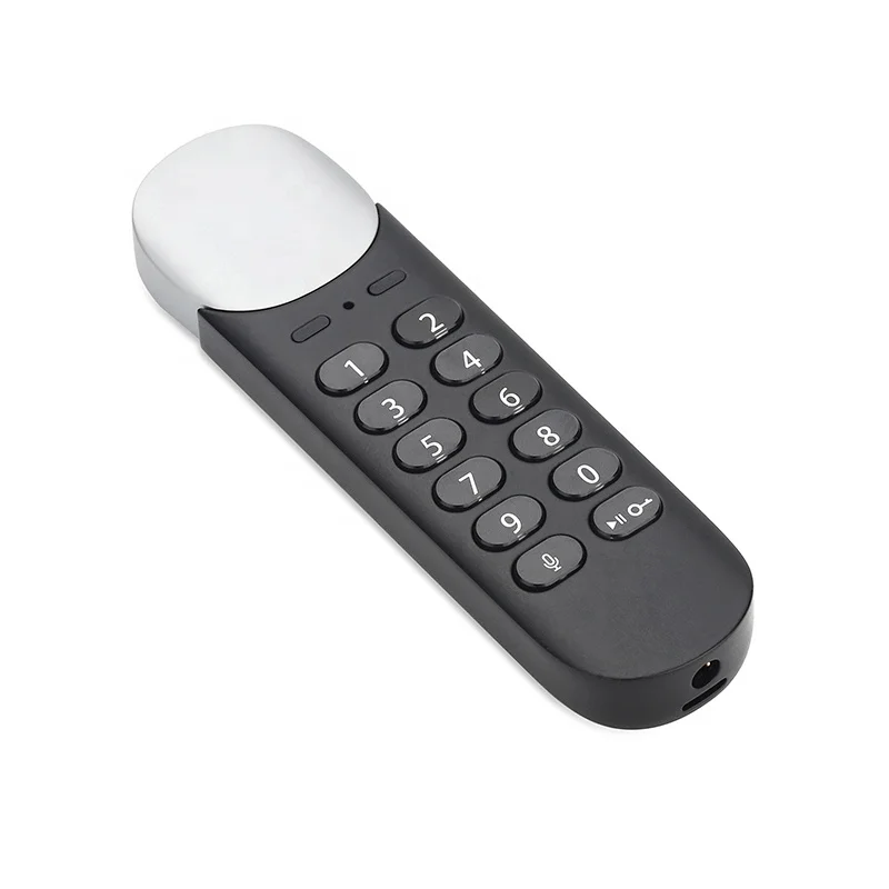 

Digital Encrypted USB Flash Drive Password Protected U Disk Voice Recorder For Lectures, Meetings, Interviews, Class (32G)