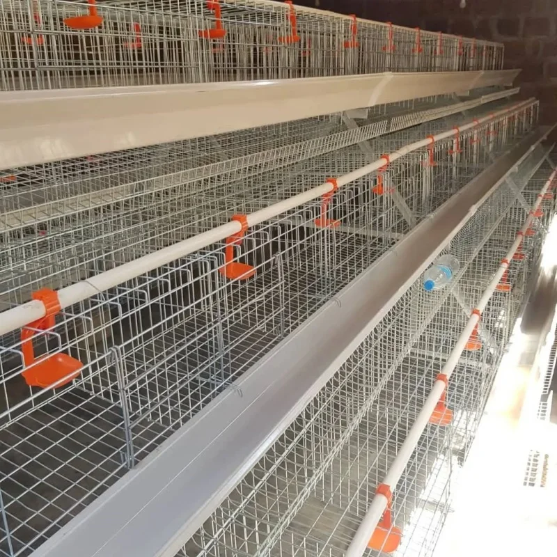 

Hot Sale 3/4 Tiers a Type 10000 Birds Poultry Equipment Chicken Coops Chicken Cages Battery Cage Layer Chicken Farm