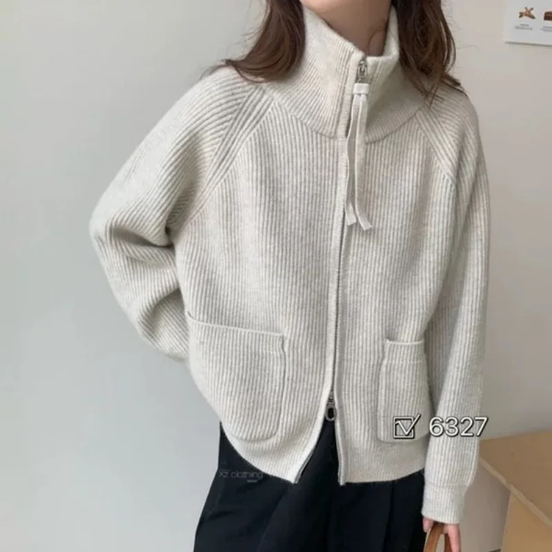 Double Pocket Design Long-sleeved Cardigan Winter Niche Fashion Versatile Short Coat  Women High-neck Double Zipper Solid Color