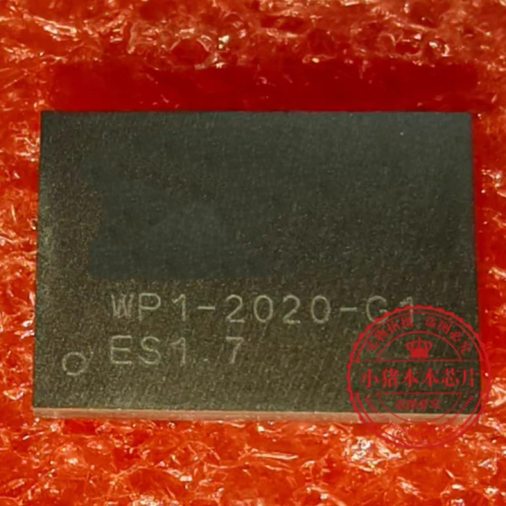 WP1-2020-G1 BGA WPI-2020-G1