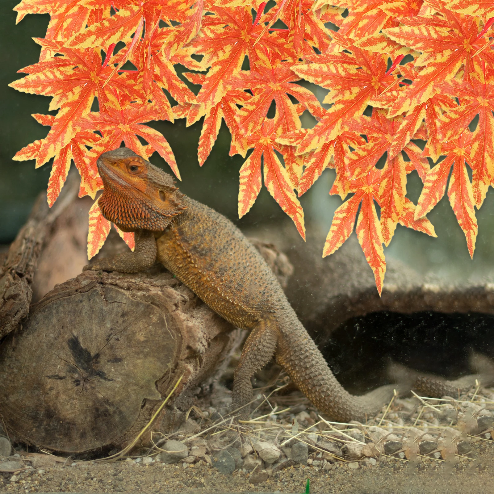 

Simulation Water Grass Plants Terrarium Decoration T007 ange Reptile Vine Fake Plants for Fish Tank Aquarium Safe Plastic