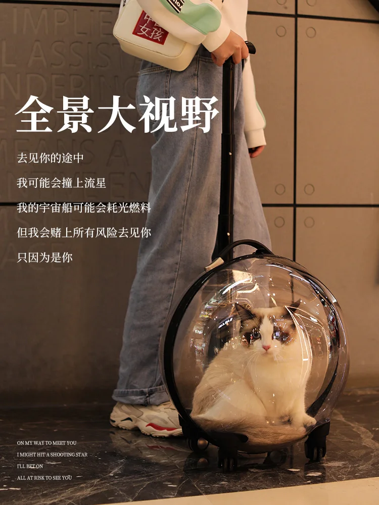 Cat Bag for Carrying out Portable Backpack Space Capsule Portable Breathable Pet Accessories Box Nest Pet Carrier Cat's House