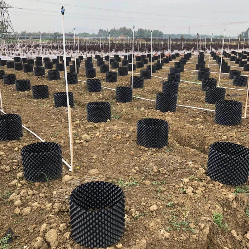 Thicken Tree Root Controller Garden Drainage Plate Seedling Dish Environmentally Friendly Plastic Tree Planting Equipment