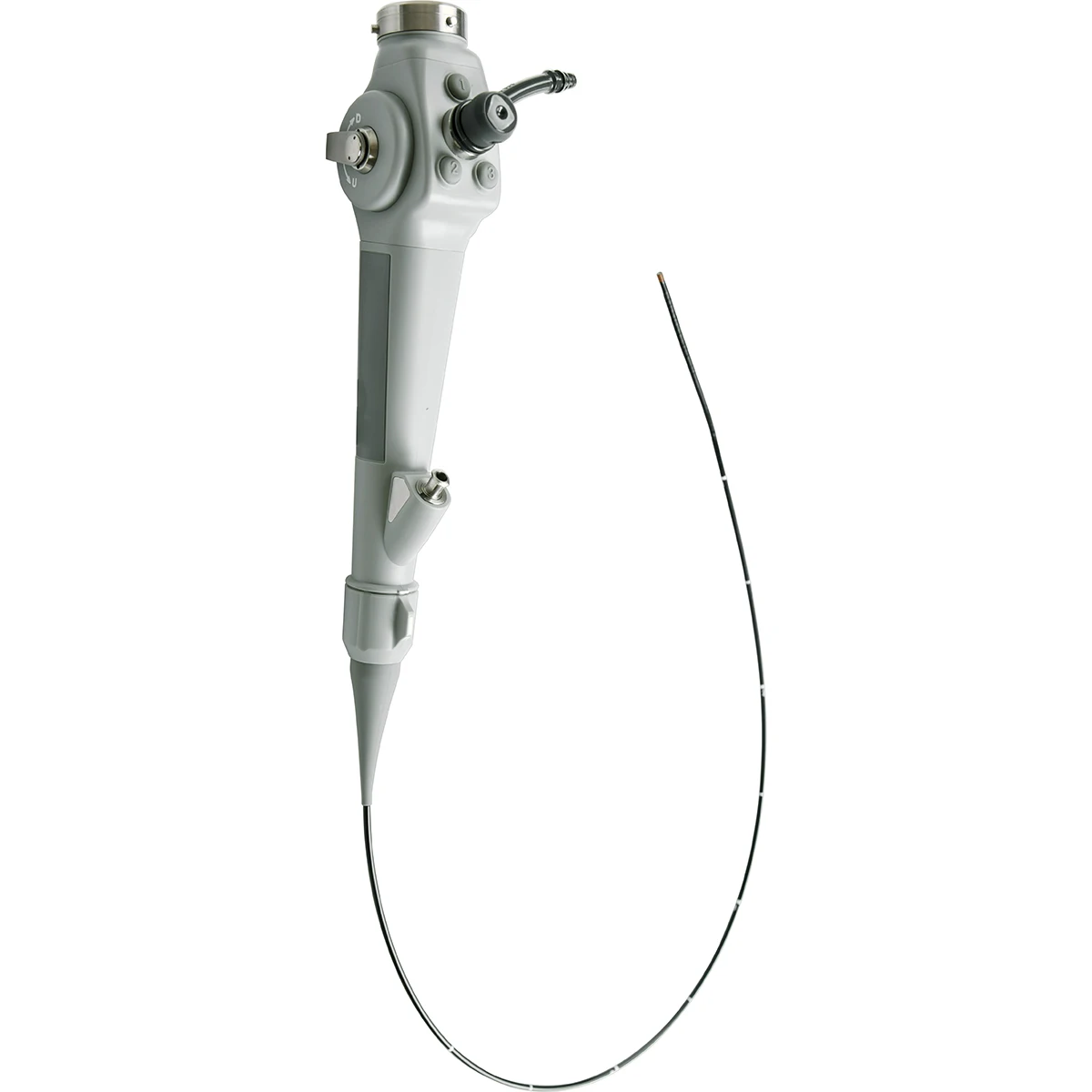 Veterinary flexible endoscope Multifunctional endoscope Bronchoscope/Nasolaryngoscope/Small Animal Ureteroscope