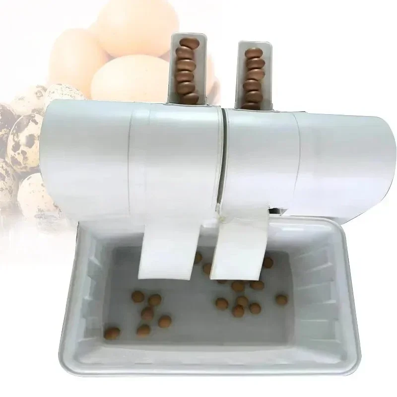 

2300 Pcs/h Chicken Duck Goose Egg Washer Cleaner Wash Machine Automatic Poultry Farm Equipment