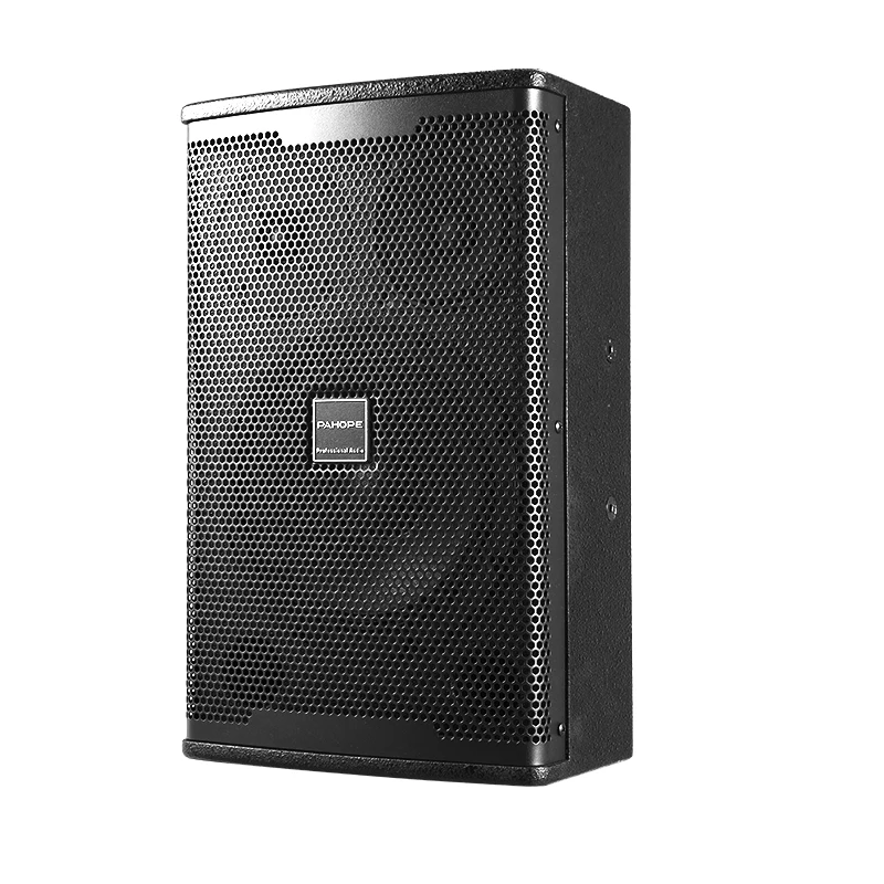 

Professional Audio Speakers 10 "200w Karaoke Speakers For Conference Presentation Stage Performances