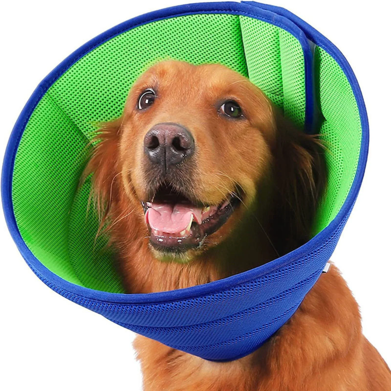 

Cat and dog care beauty neck ring Pet dog cover Anti-add anti-bite and anti-scratch protective ring Pet Elizabeth ring
