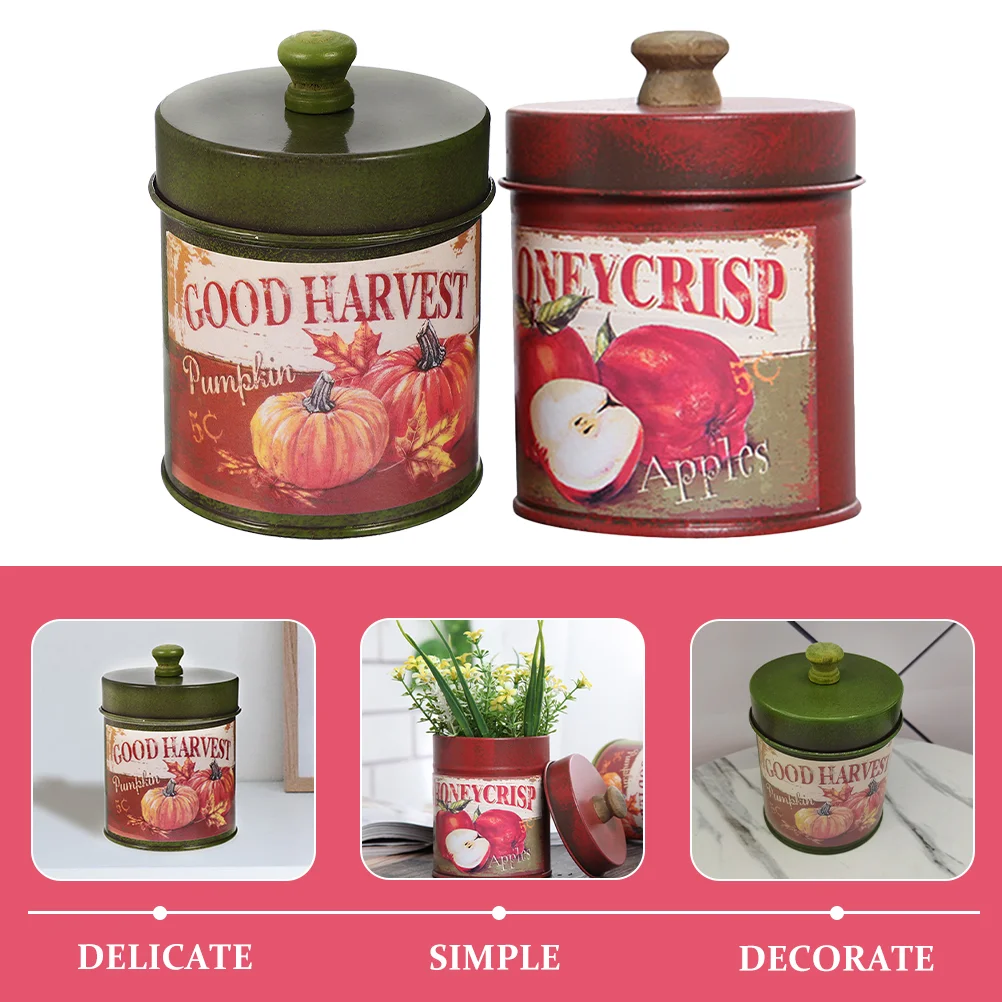 2 Pcs Storage Tin Bucket Vintage Cans Plants Decor Retro Flower Pots Iron Jar Cookie Canister Planters for Outdoor