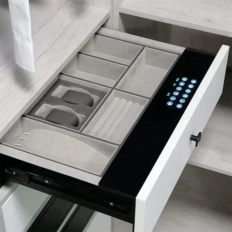 High-strength Thickened Intelligent Panel Smart Fingerprint Wardrobe Drawer Safe For Hidden Money