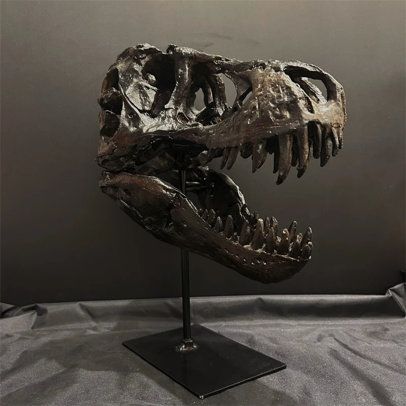 Dinosaur Skull Stand Realistic Skeleton Model Premium Resin Museum Style Home Study Table Decor For Men Gift Birthday