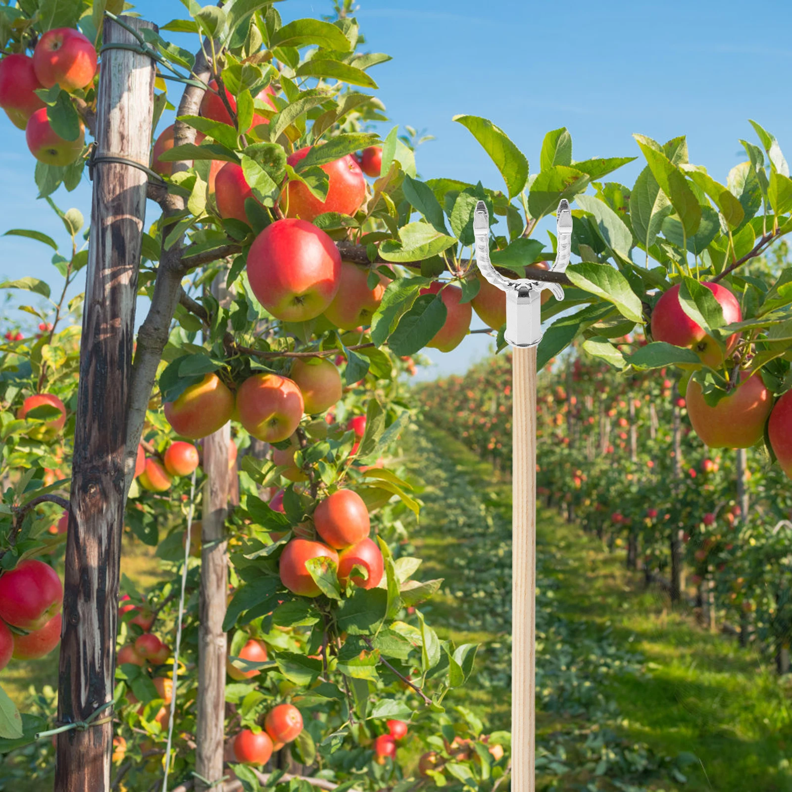 

5Pcs Aluminium Alloy Fruited Tree Support Plant Branch Support System For Garden