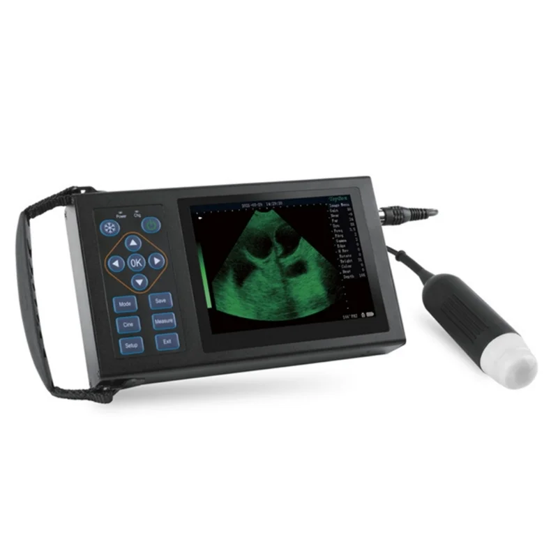 Cheap Veterinary Ultrasound Machine Portable Ultrasound For Bovine Equine