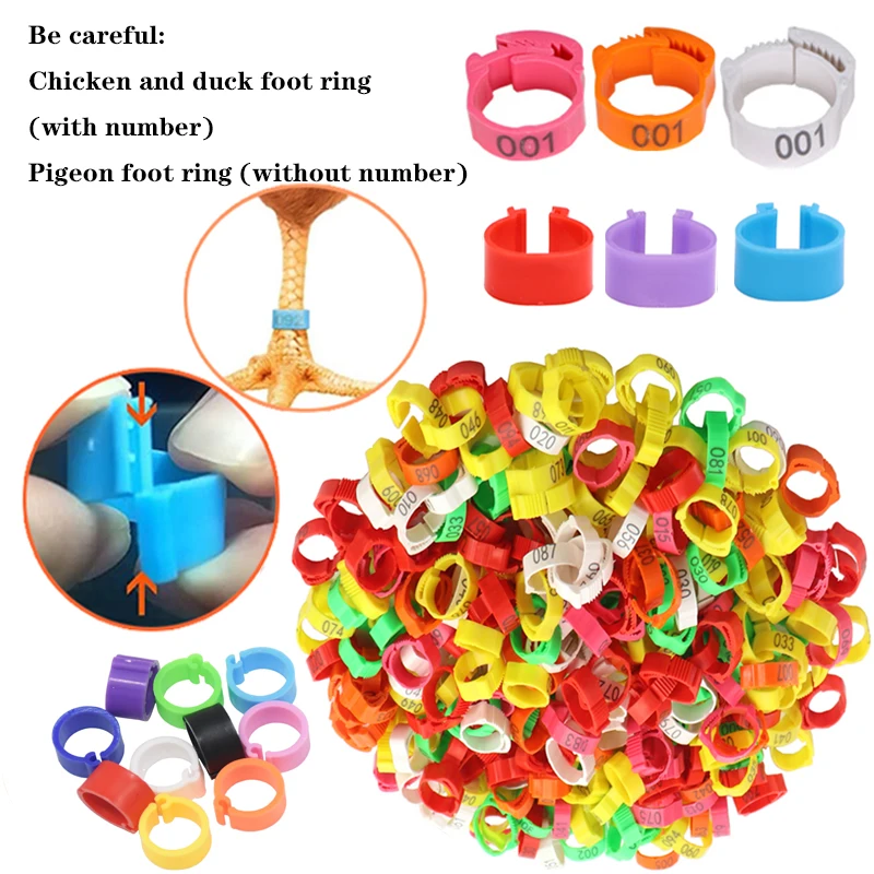 

25pcs 100pcs Canary Clip Ring Bird Pigeon Parrot Leg Rings Small Birds Foot Rings Bird Clip Ring Animal Identification Tool