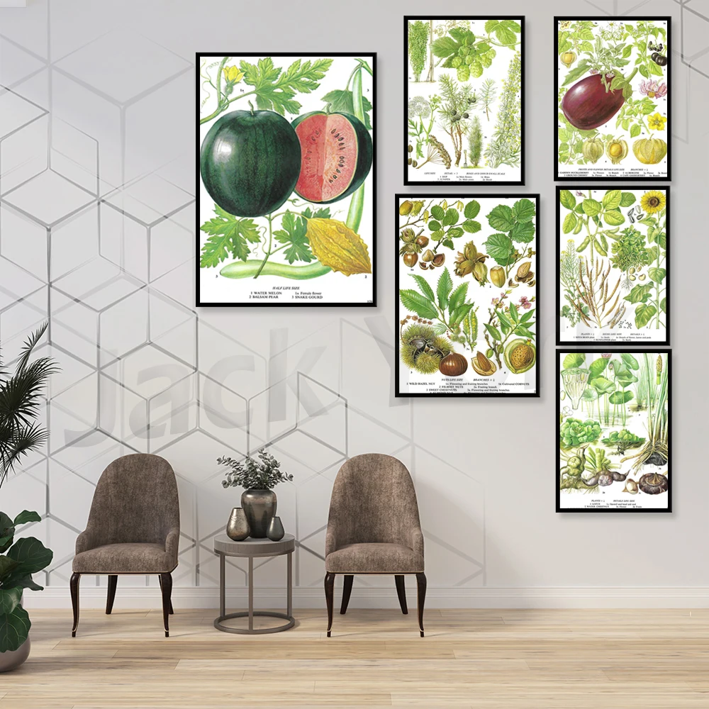 Aubergine, Pianta all'uovo, Mi - Plant Jackfruit recensione e prezzo