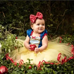 Toddler Baby Girl Clothes Princess Dresses for Baby 1st Birthday Party Christening Lace Tulle Vestidos Kids Minnie Mouse Costume