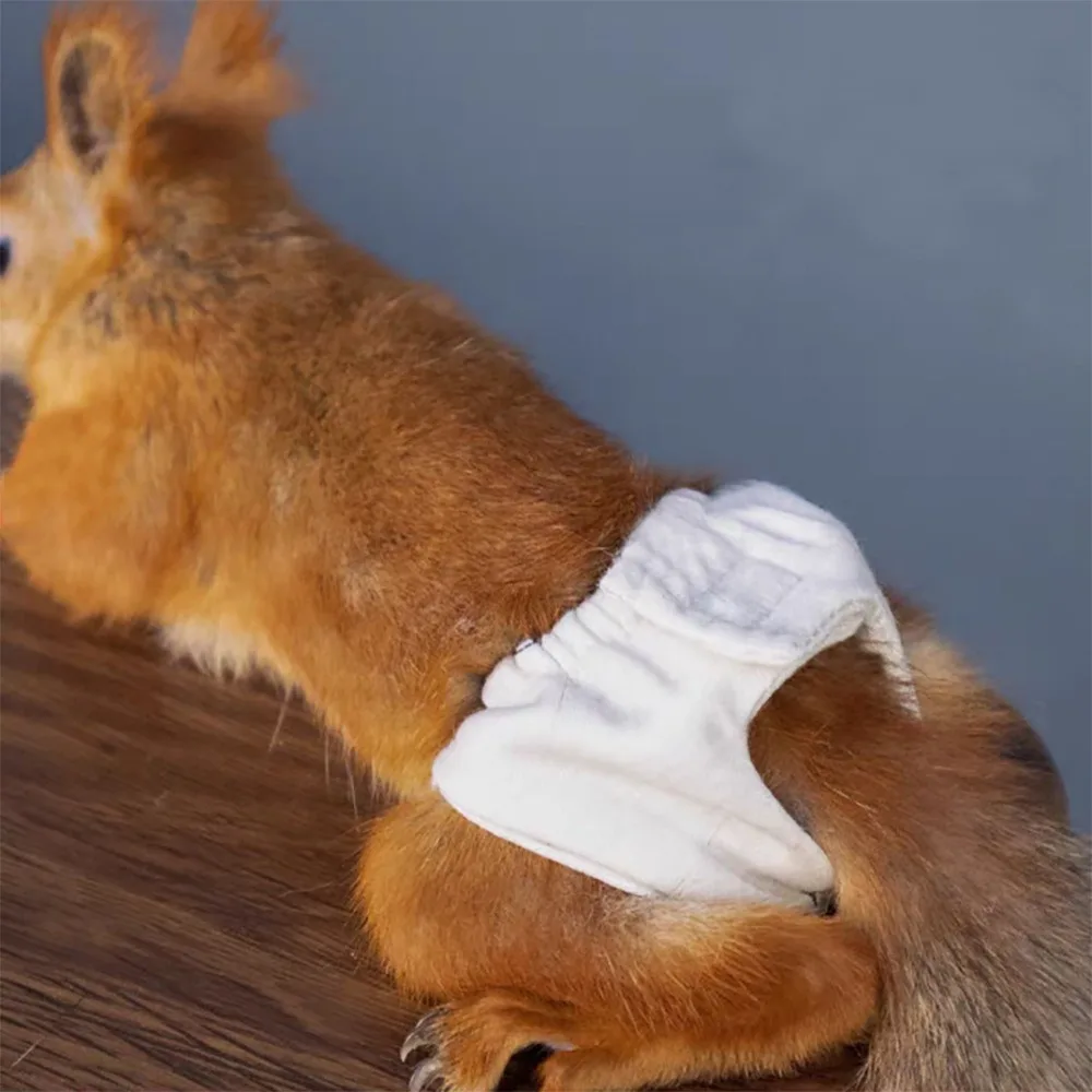 

Absorbent Squirrel Diapers Leak-Proof Adjustable Pet Menstruation Diaper Breathable Squirrel Physiological Underwear