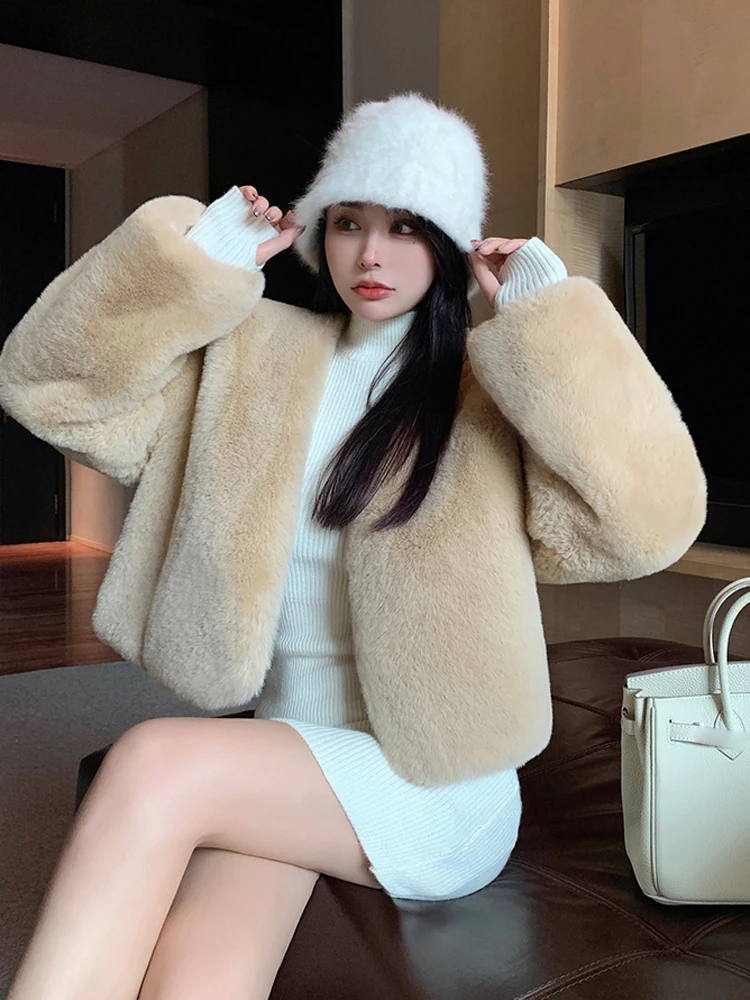 Women V-Neck Senior Fluffy Plush Faux Fur Jacket Autumn Winter 2023 New Temperament Thickening Warm Single Breasted Short Coat