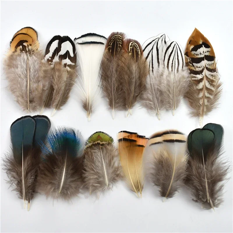 Natural Chicken Birds Duck Peacock Pheasant Feather Small Eagle Guinea Fowl Feathers for Craft Handicraft Accessories Decoration