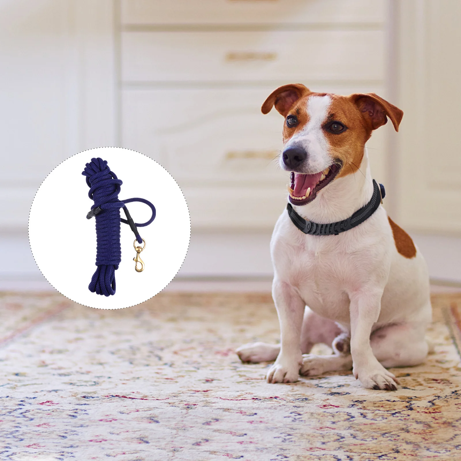 

10 Meter Super Strong Dog Leash Thick Rope Outdoor Training Walking Pet Lead Rope Leash Comfortable Safe Cushion