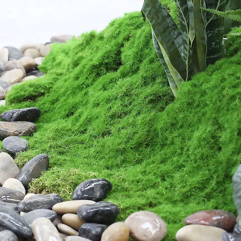 

Artificial plant landscaping, moss, green plants, moss, paving, landscape decoration, bonsai, materials, and plants