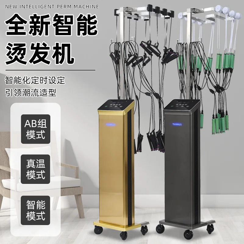 Intelligent Constant Temperature Digital Perm Machine Hairdressing Alvin Barfi Asia Philing Ceramic Tools