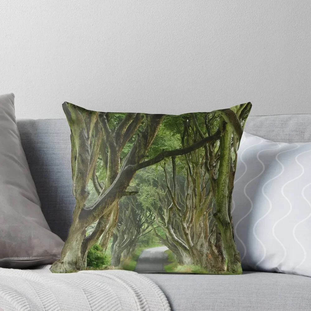 

dark hedges Throw Pillow bed pillows Christmas Covers Room decorating items pillow