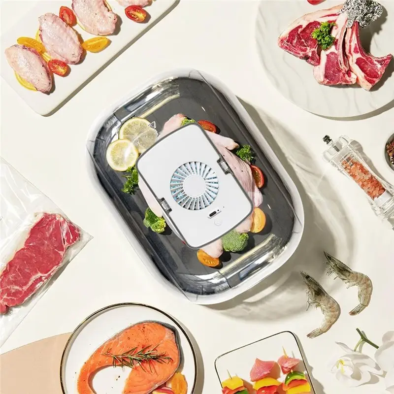 ABJN-Thawing Tray For Chilled Meat Quick Defrosting Food Thawing Tray For Steaks, Chicken & Seafood