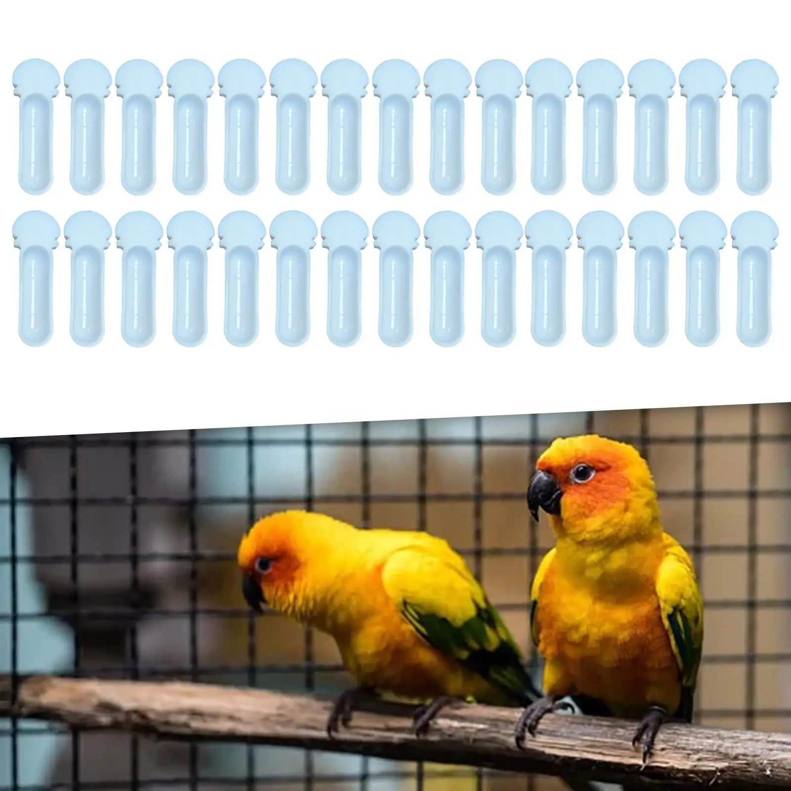 Caja de alimentación para pájaros, comedero para pájaros, cesta de forrajeo para pájaros, alimentador de agua reutilizable, contenedor de comida para pájaros para pulgar, regalos para Patio trasero