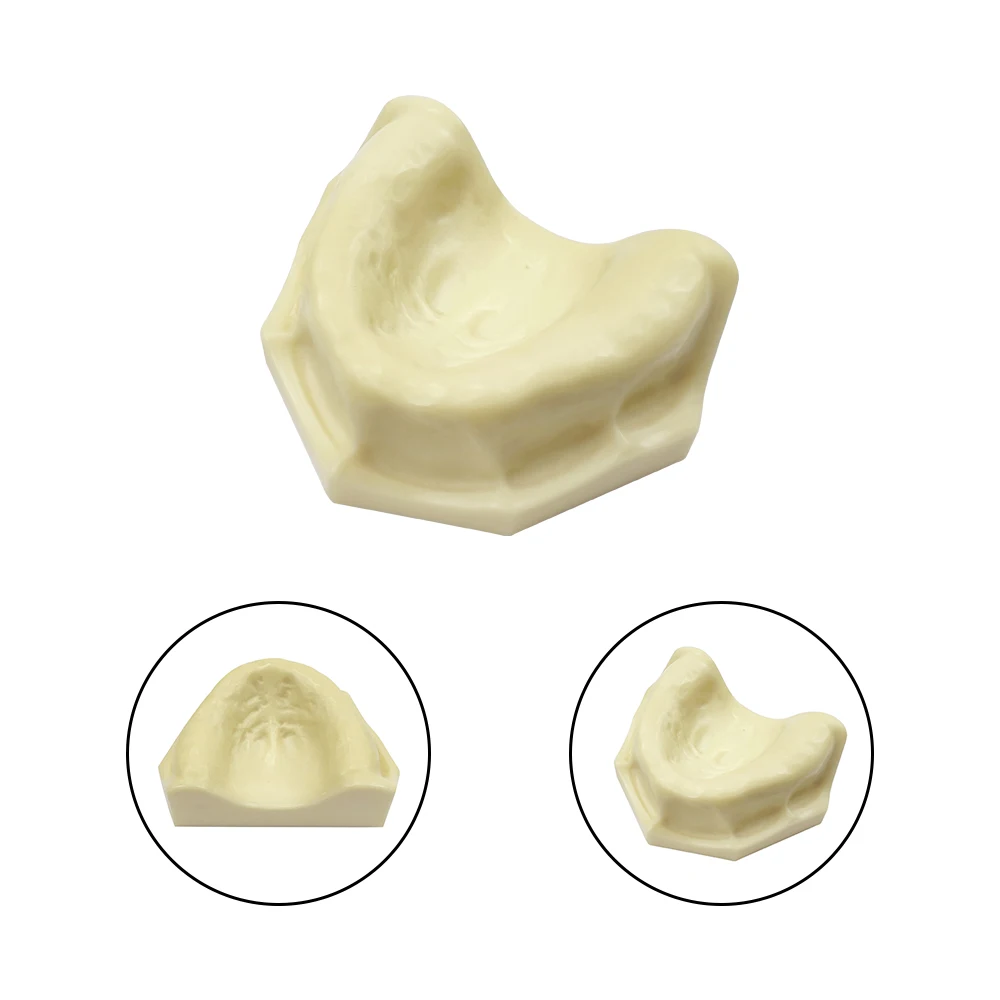 

Dental Implant Teaching Model Maxillary Mandibular Sinus Model Soft Gums Teeth Model For Dentist Practice Studying Tools