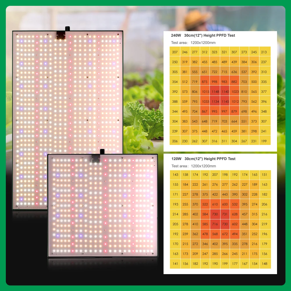 Full Spectrum LED Grow Light 120W 240W LM281B For Greenhouse Tents  Dimmable Growbox For Seeding Veg Flowers Growing Lamp