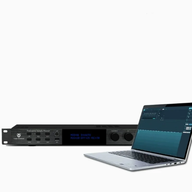 Winnaar AD-208PRO Reverb Boost DSP Professioneel karaoke anti-uilende voorversterker-effect