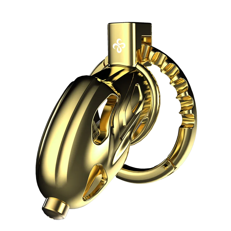 New Upgraded Chastity Lock with Pipe Adjustable Ring Fit for All Size Light Weight Cock Cage Urethral Lock Sex Toy for Penis Men