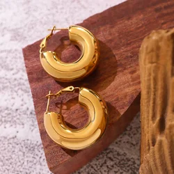 Ins Style Ornament U-Shaped Geometric Earrings for Women 2023 New Non-Fading Temperament Titanium Steel Gold-Plated Stud Earring