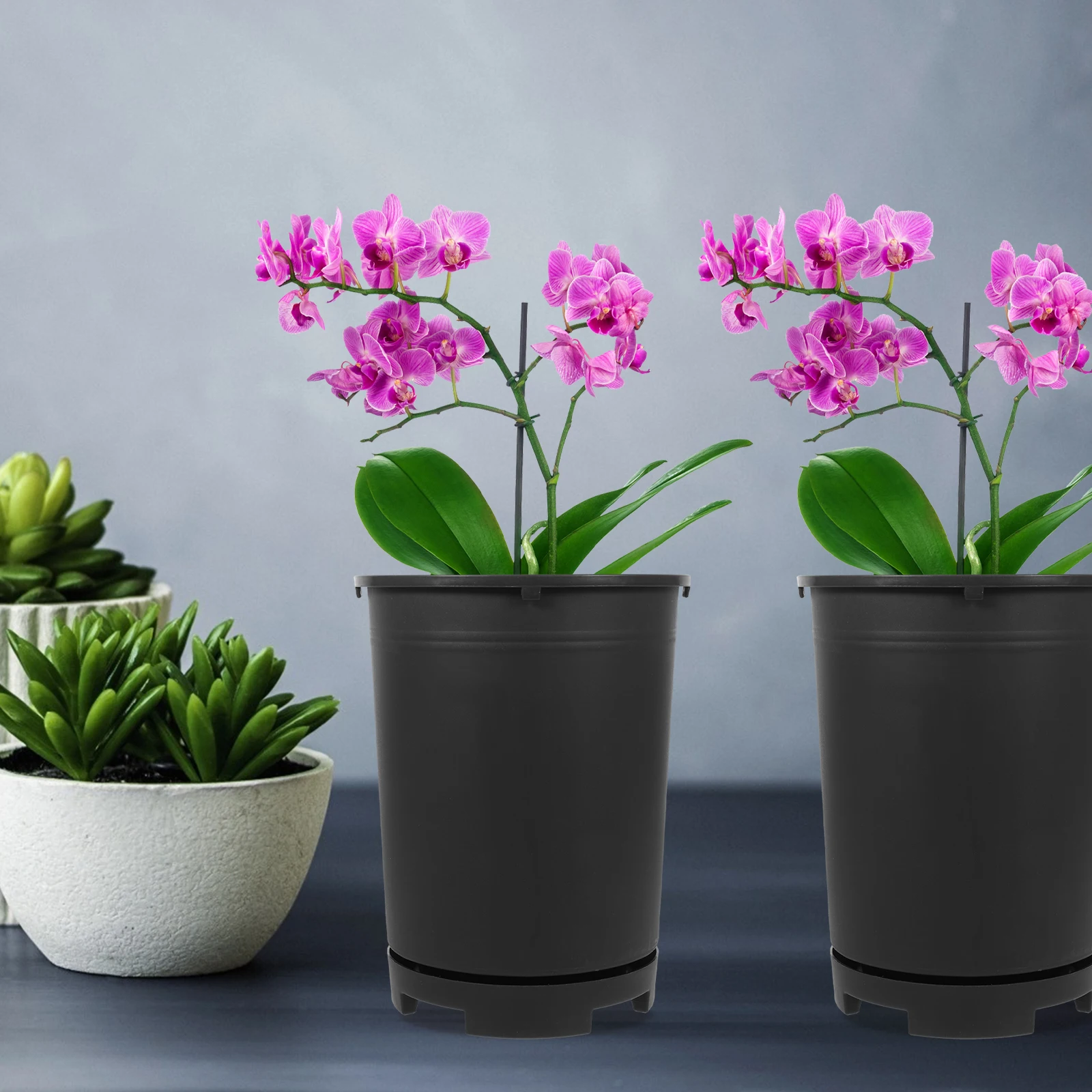 

1 set Plastic Pots Perforated Tray for Indoor Plants Planter Pots Succulent Cactus Garden Flowerpot Plant Container