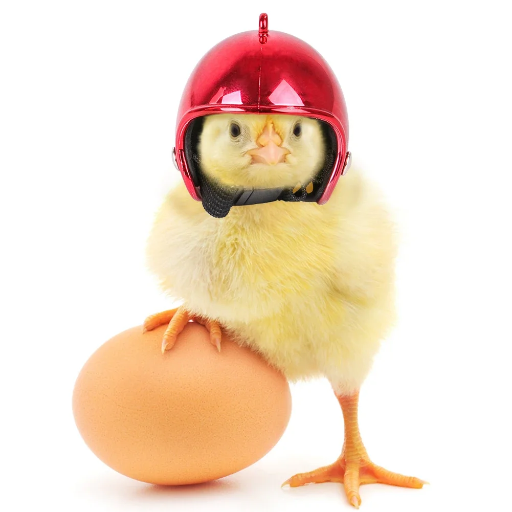 1pcs Chicken Helmet Fuuny Hat Hen Pet Protective Gear Sunscreen Rain Helmet Toy Pet Small Pet Supplies Clothing Accessories