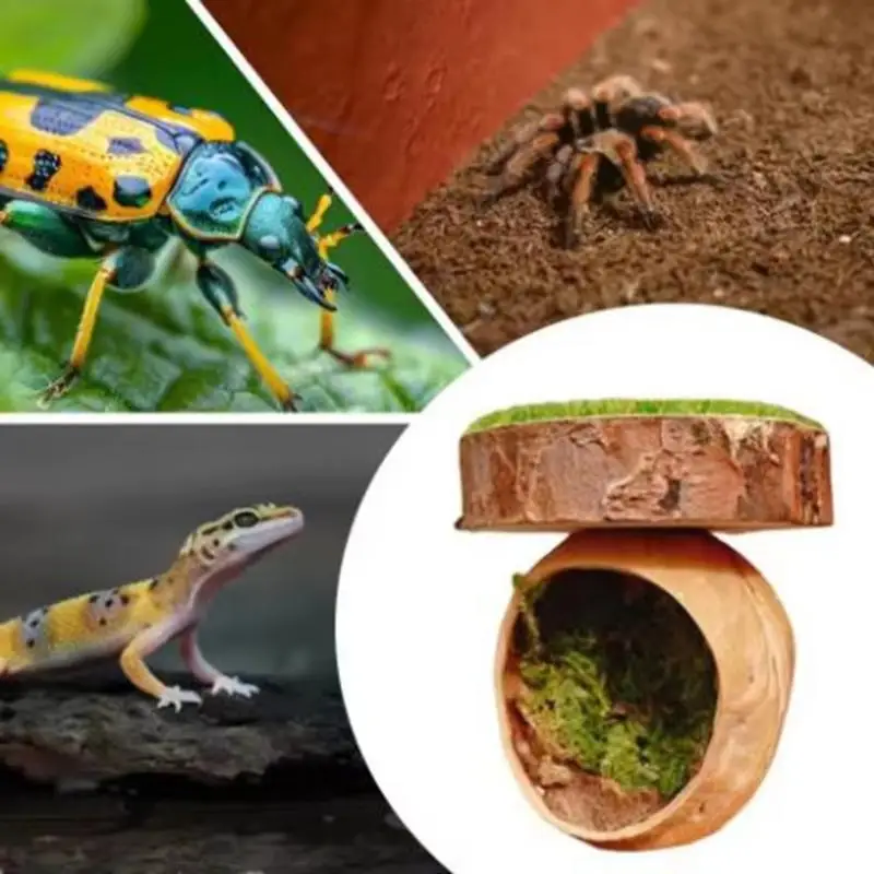 [E] 1 Set Handmade Mini Magnetic Spider Habitat Magnetic Spider Hide Cave Natural Hide Decorative Jumping Spider Enclosure Decor