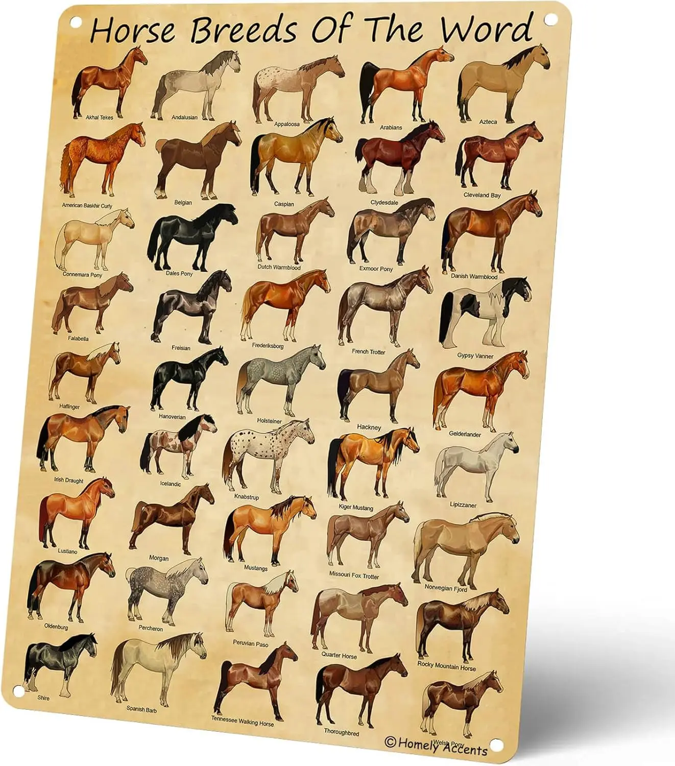 Cartel de chapa de metal de razas del mundo, póster de decoración ecuestre para granja, barra de cueva de hombre, regalo para amantes de los caballos y vaqueros