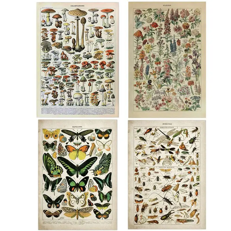 Vintage Adolphe Millot Encyclopedia Canvas Painting Butterfly Flowers Insect Posters and Prints Wall Art Pictures for Home De