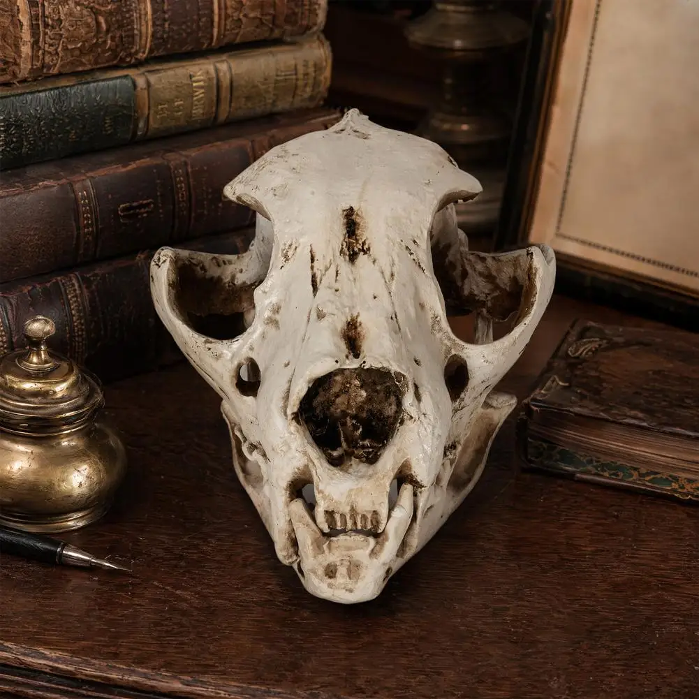 Skull Decoration for Parties Halloween Dog Skull Ornament Dog Skull Ornament Resin Halloween Decoration Canine for Education