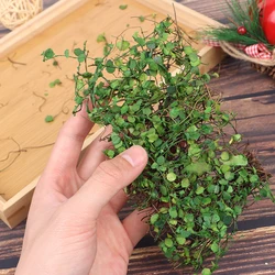 1 Box Simulation Vine for Micro Landscaping Decor Sand Table DIY Dollhouse Miniature Accessories