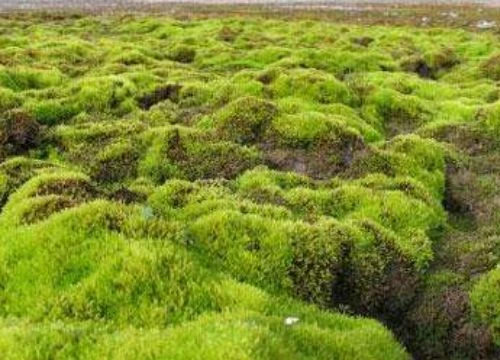 0.9-4 مللي متر ألين عرافة المفكات مفتاح 0.9/1.5/2.0/2.5/3 مللي متر مسدس المسمار القيادة ل RC هليكوبتر الطائرة بدون طيار نموذج طائرة أداة إصلاح #1