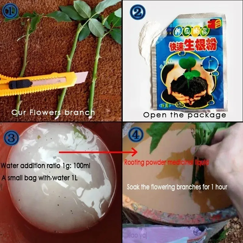 Plant Rooting Powder Rapid Root Growth Stimulator Transplant Aid for Cutting Seedling Flower Shrub Tree Transplanting Biologic