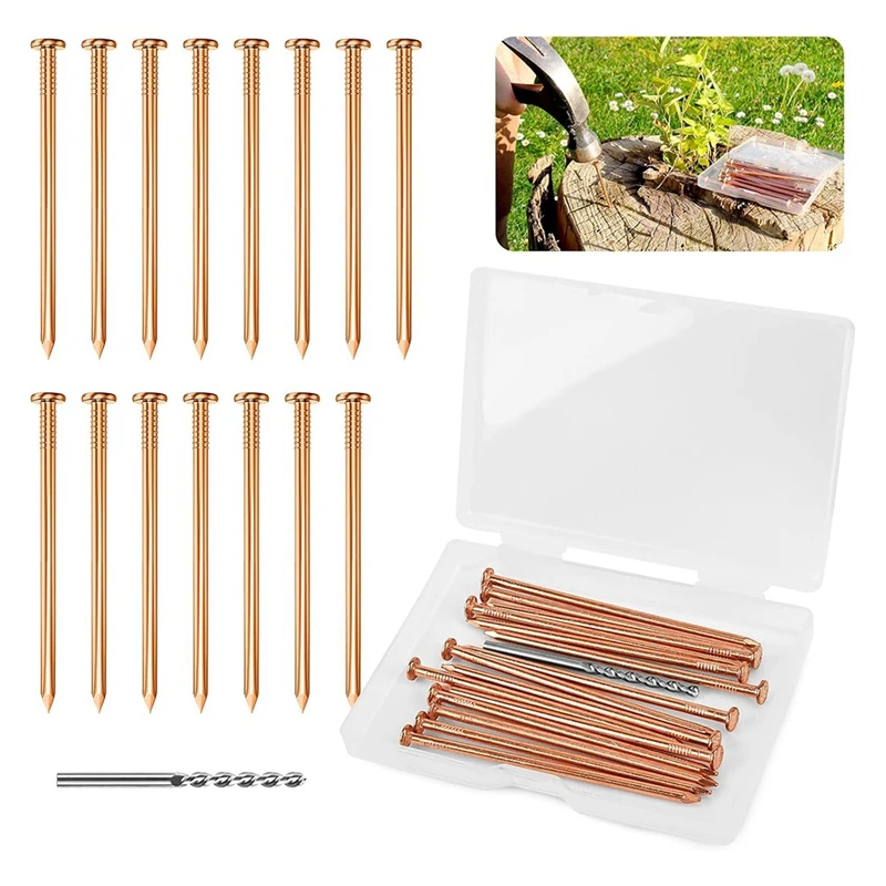 

Copper Nails For Killing Tree Stump Roots, 3.15 Inch Copper Nails With Drill, Stake Removal Nailer For Trees Promotion