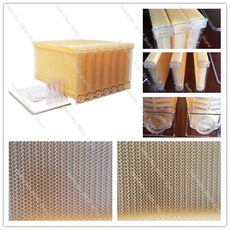 

Beekeeping ToolsAutomatic Honey Flow Honey Bee SpleenPlastic Self-Flowing Honey Hive FramesHive Foundation