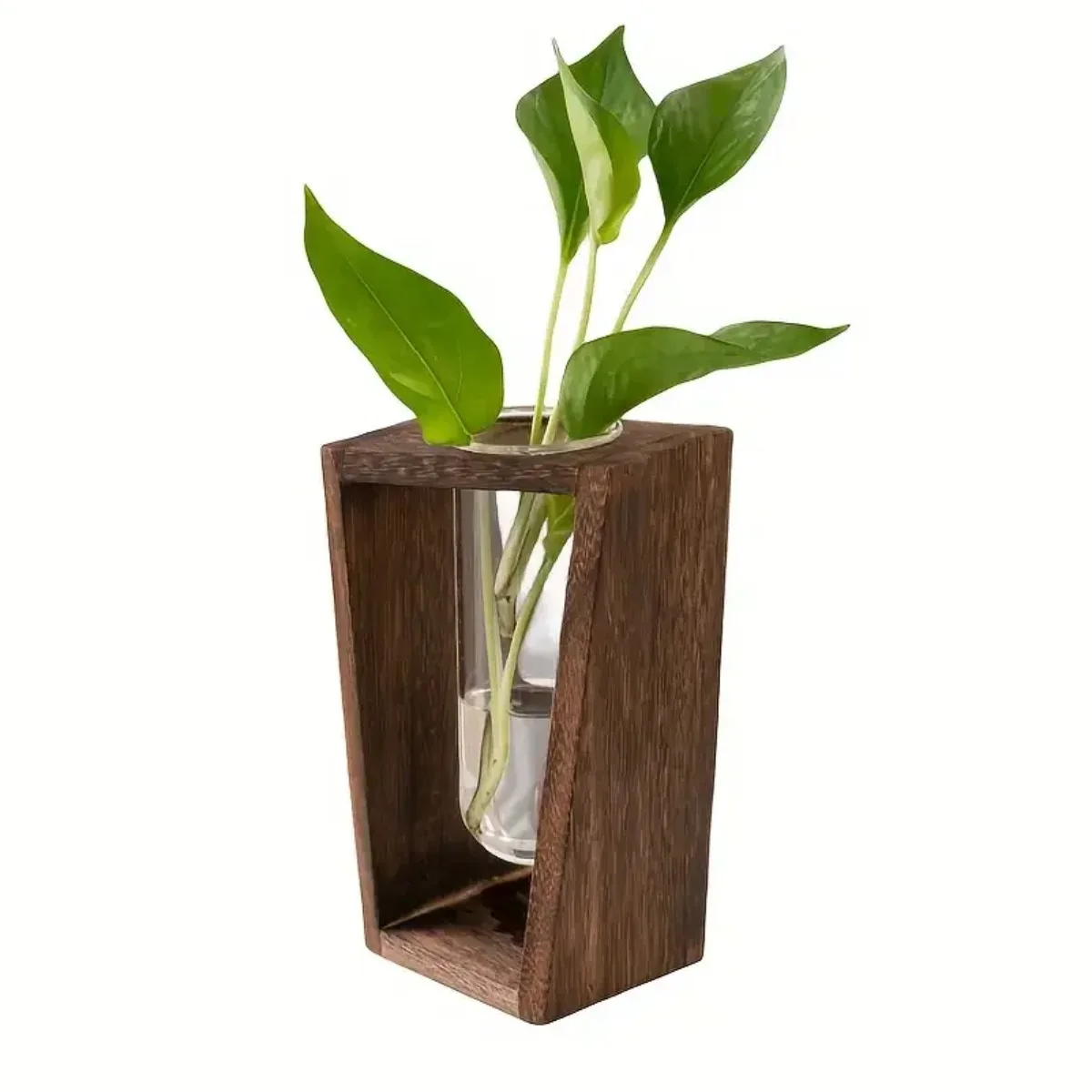 Plant Propagation Station Hydroponic Vase Wooden Planter Modern Minimalist Indoor Plant Display Holder Home Office Decor